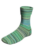 Lang Yarns Super Soxx - Farbe 901.0384 / CapitalCities2