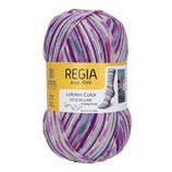 Regia Design Line 4-fädig  4-Ply   Farbe 3886