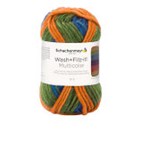 Schachenmayr Wash+Filz-it Multicolor Farbe 210