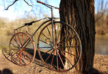 Vélocipède à pédale "Michaux" de 1869