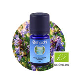 Ysop decumbens (Cineol) BIO - 5 ml