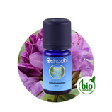 Rhododendron BIO - 5 ml