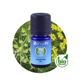 Fenchel süß bio 107