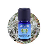 Eichenmoos, abs. 75 % (gel. in Bio-Alkohol) 5 ml