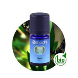 Niaouli BIO - 5 ml