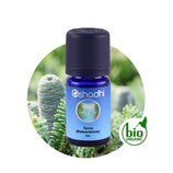 Tanne (Balsamtanne) BIO - 5 ml