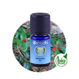 Wintergreen BIO