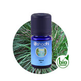 Vetiver BIO - 5 ml