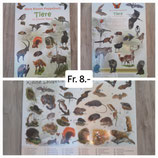 Riesen Kartonbuch Tiere