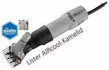 Lister Aircool-Kamelid