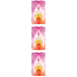 Fommy Deco Soft Orchidea