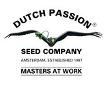 Dutch Passion - CBD Kush