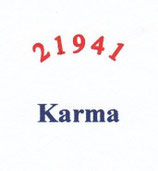 N05 Karmaanalyse