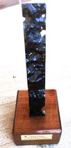 Fragment of Hull Plate John Oxley