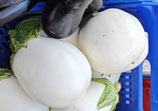 Albergínia blanca