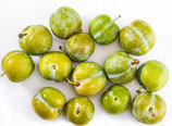 Pruna Clàudia (€/Kg)
