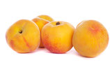 Préssec Groc D.O. Calanda (€/Kg)