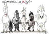 50 nuances de gris