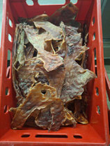 5 kg Kopfhautbruch Aktion
