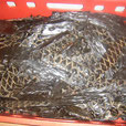1 kg Rinderleber