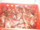 50 Stück Schweineohren Premium ca. 2,2 kg