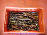 1 kg Ziemerspitzen AKTION