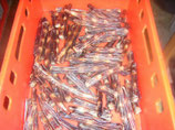 500 g Ochsenschwanz