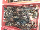 1 kg Rehschulter mit Fleisch