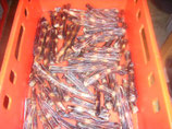 1 kg Ochsenschwanzspitzen