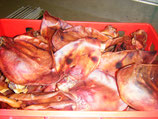 200 Stück große premium Schweineohren ca. 10 kg  Top Aktion