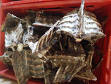 1 kg Hirschrückenstücke