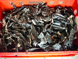 1 kg Rinderherz in Scheiben