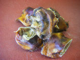 1 kg Rindermuscheln