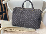 Louis Vuitton Tasche Speedy 30 Mini Lin Ebene