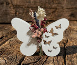 Schmetterling