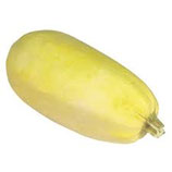 Courge spaghetti env. 1,4-1,6kg