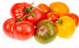 Tomates anciennes  mélange