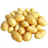 _Pommes de terre