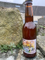 Bière épices  33cl (unité)