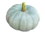 Portion de Bleu de Hongrie  env. 1kg