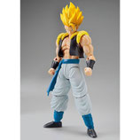 Dragon Ball Z - Super Saiyan Gogeta [Limited] COD: Gu85319