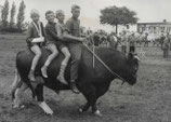 Der Bilderschatz: Alte Fotografien aus Kehdingen