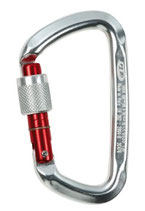 D-SHAPE SG