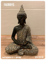 Thai Buddha CE 3  V2 - Dhyana Mudra