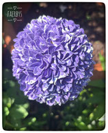 Allium Gussform Halter
