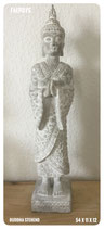 Buddha stehend