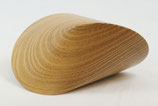 Oloid Robinie ca. 10 cm (Werkstück 20)