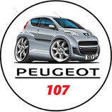 PT001. Porte-clés porte bonheur PEUGEOT 107 grise (cartoon)