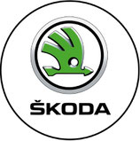 Porte-clés porte bonheur SKODA