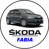 SA003. Porte-clés porte bonheur SKODA Fabia grise